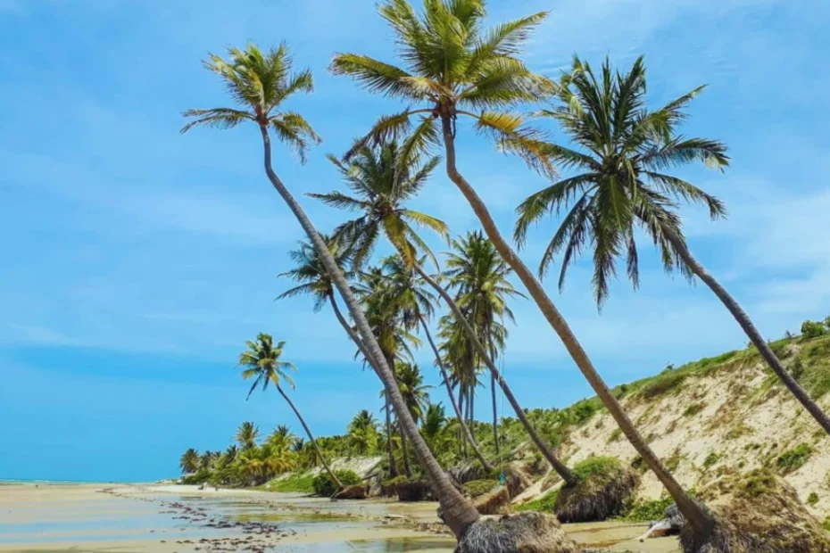 destino-perfeito-para-quem-busca-paz-e-conexao-com-a-natureza